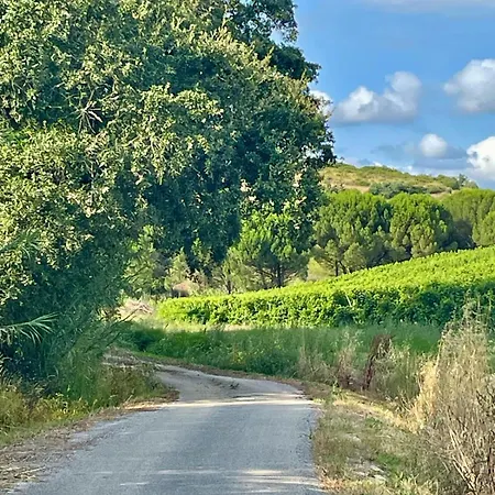 Macussa Country House * Macussa