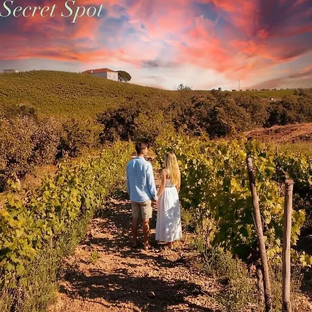 ヴィラ Macussa Country House *