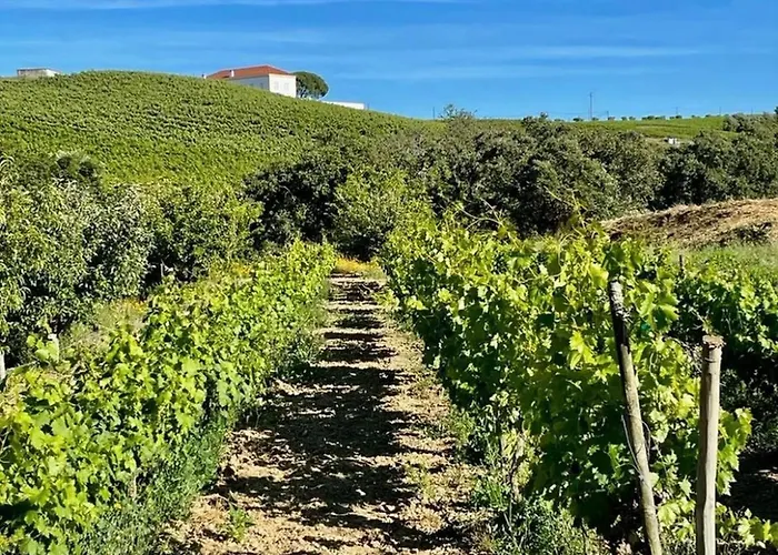 Macussa Country House